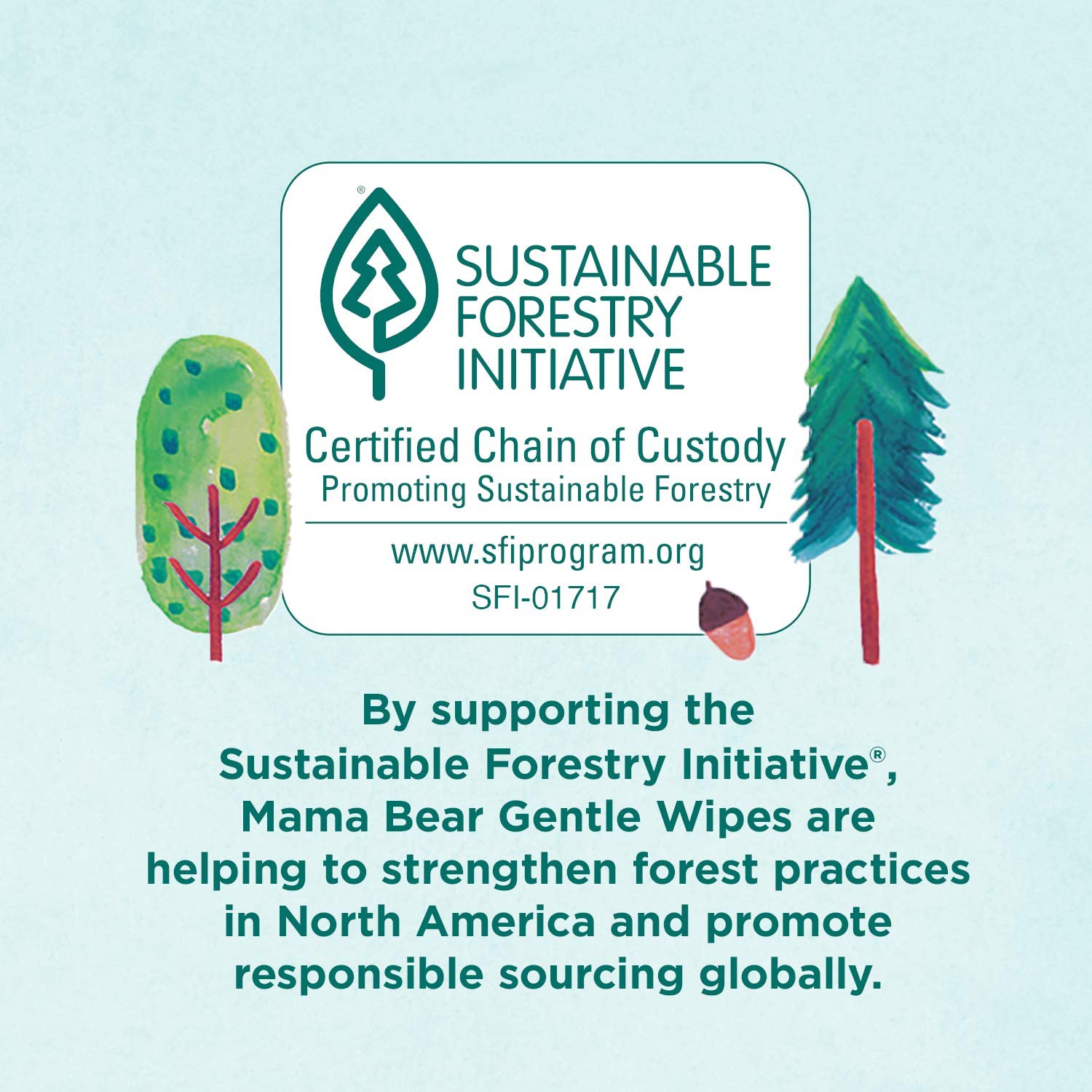 Brand - Mama Bear Gentle Fragrance-Free Baby Wipes, Hypoallergenic, 800 Count, 100 Count (Pack of 8) - Image 5